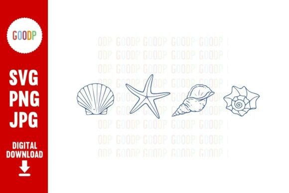 Coastal Seashell Line Art PNG