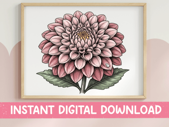 Pink Dahlia Detailed Ink Drawing